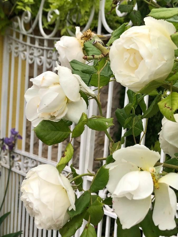 L'Ile Aux Fleurs Villa Ventabren Екстериор снимка